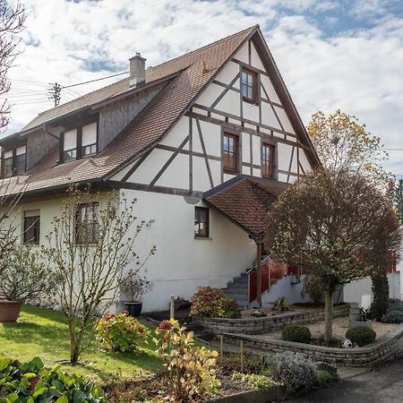 Ferienwohnung Nr 1 Deggenhausertal Extérieur photo